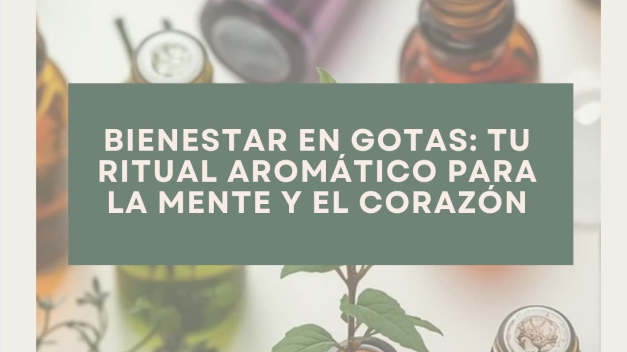 WhatsApp Image 2025-11-29 at 16.27.08